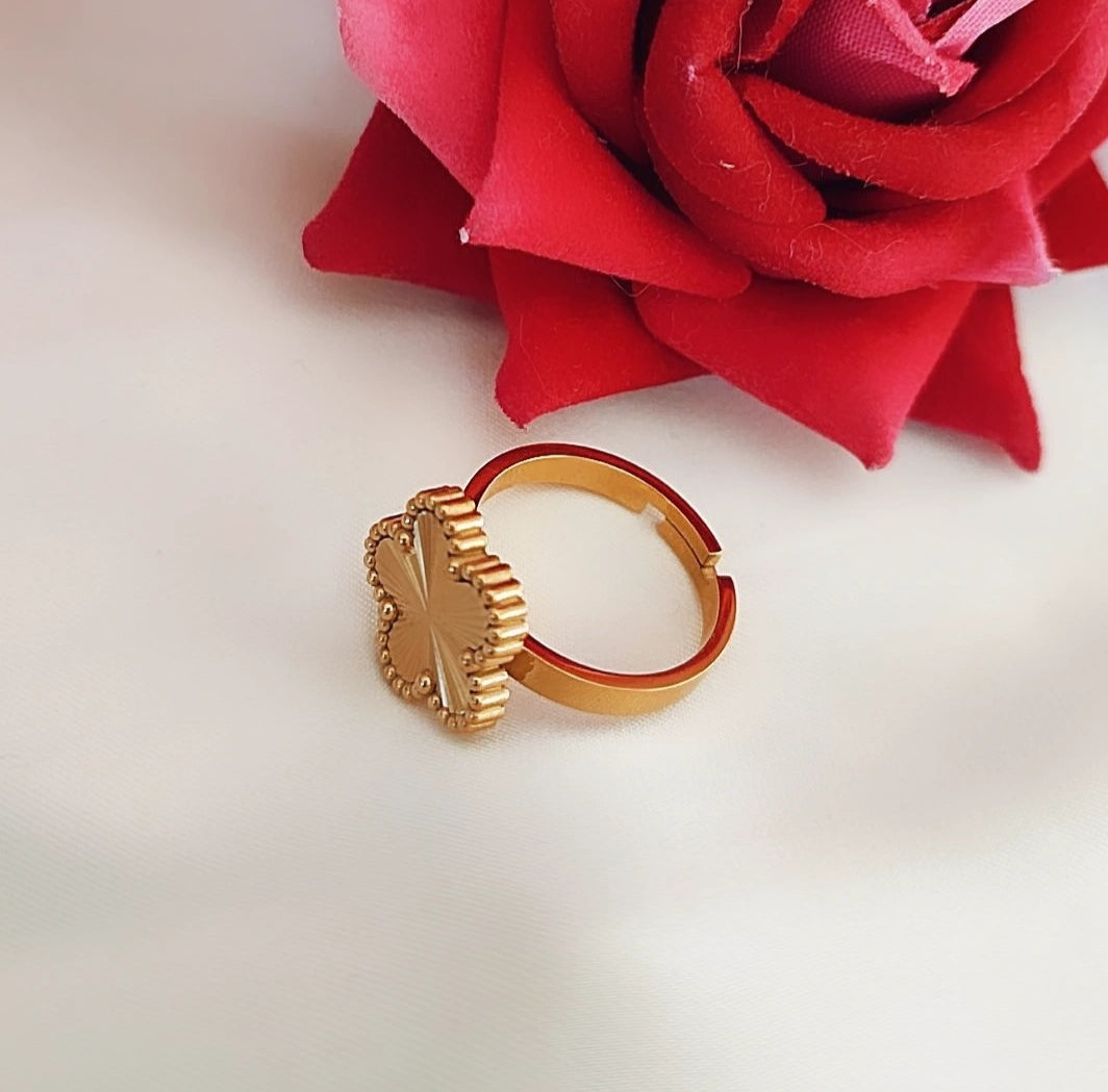 Bague ajustable en acier inoxydable