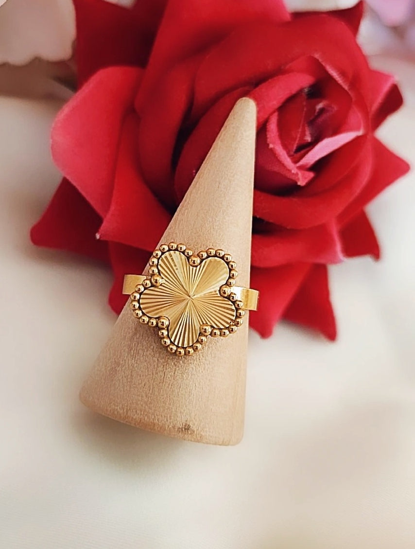 Bague ajustable en acier inoxydable