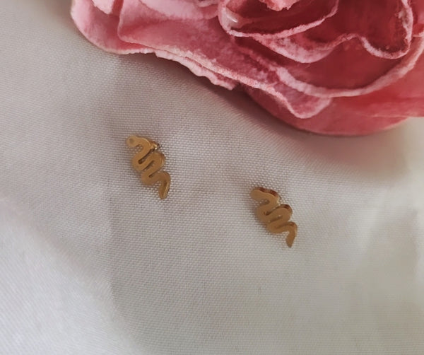 Boucles d'oreilles puces en acier inoxydable