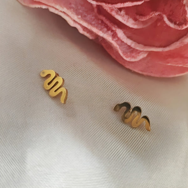 Boucles d'oreilles puces en acier inoxydable