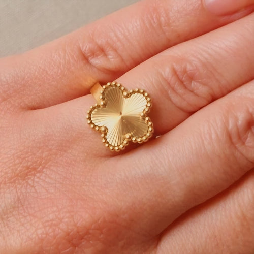 Bague ajustable en acier inoxydable