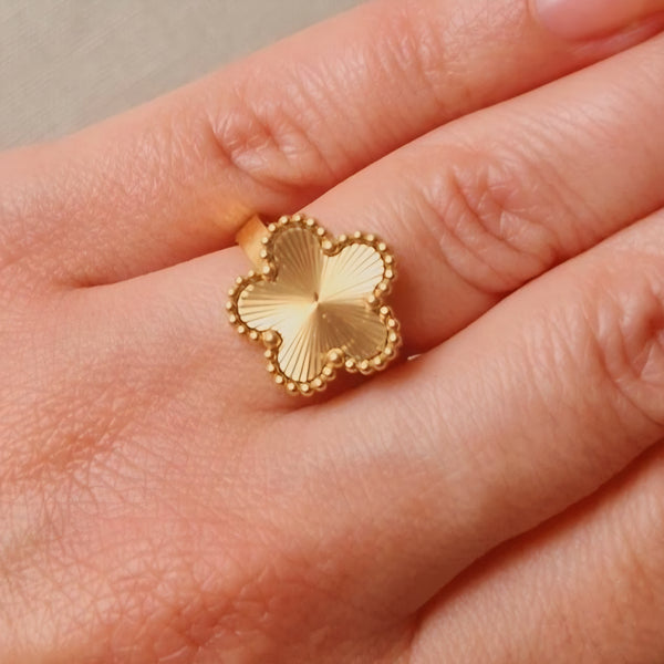 Bague ajustable en acier inoxydable