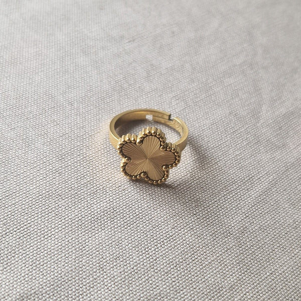 Bague ajustable en acier inoxydable